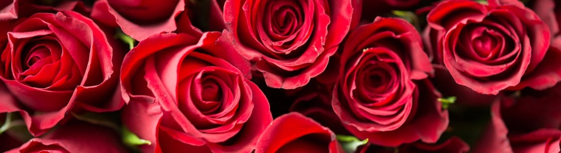 Preserving your Valentine’s Day flowers